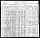 Tillmon Fly Family 1900 Census